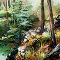 Rock Garden