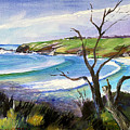 Kiama